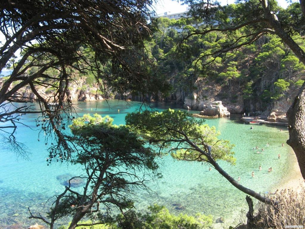 Aparthotel Arenal Палс Екстер'єр фото